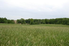 Country homes for sale and luxury real estate including horse farms and property in the Caledon and King City areas near Toronto